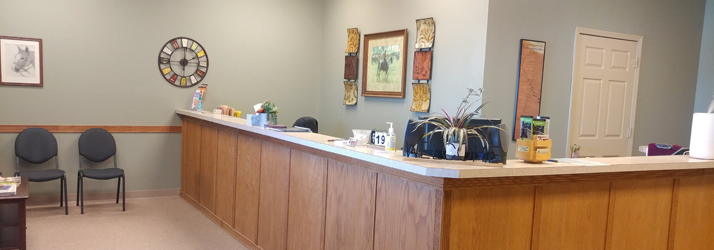 Chiropractic Ames IA Contact Our Office